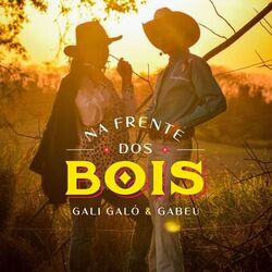Cover of Na Frente dos Bois