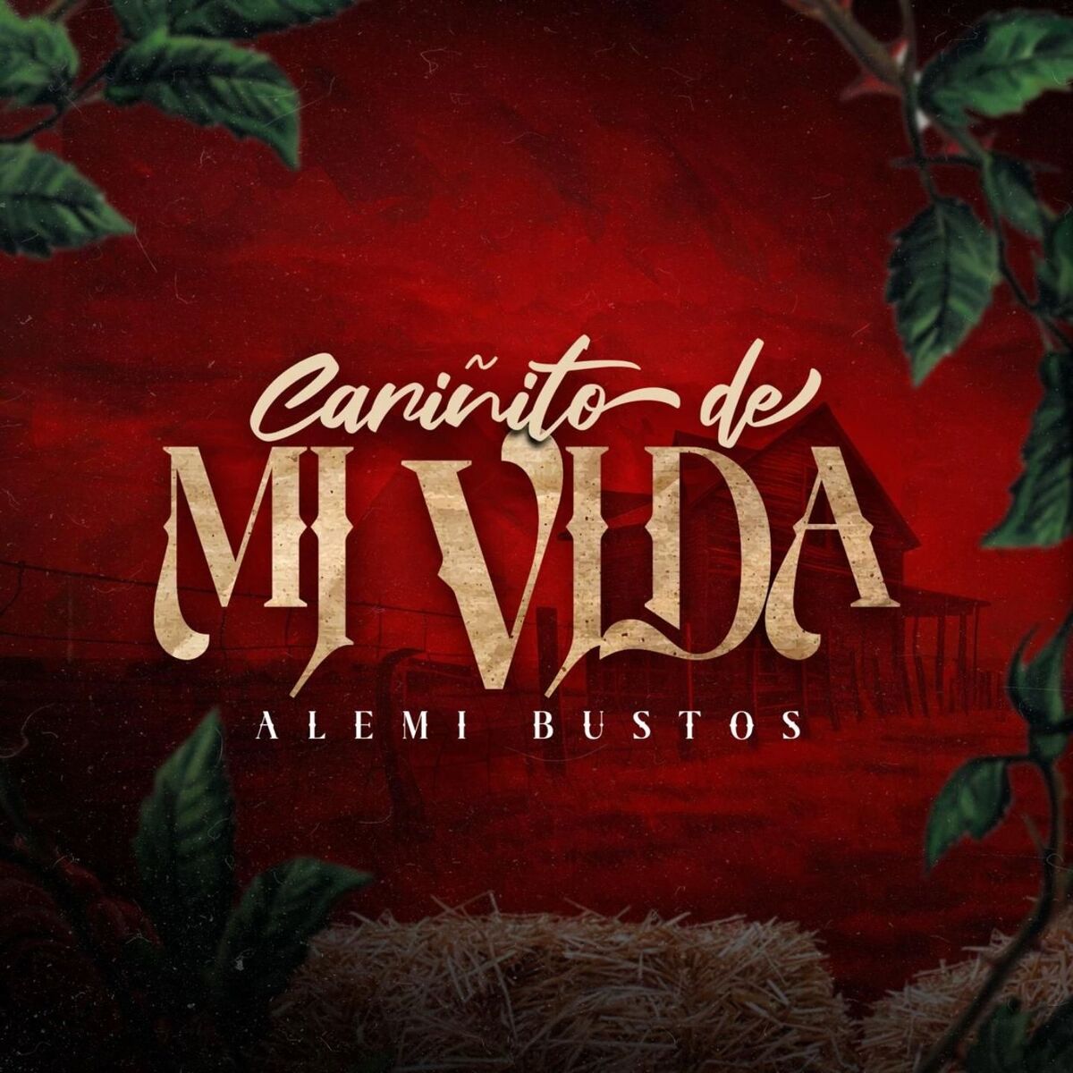 Album cover of Cariñito de mi Vida