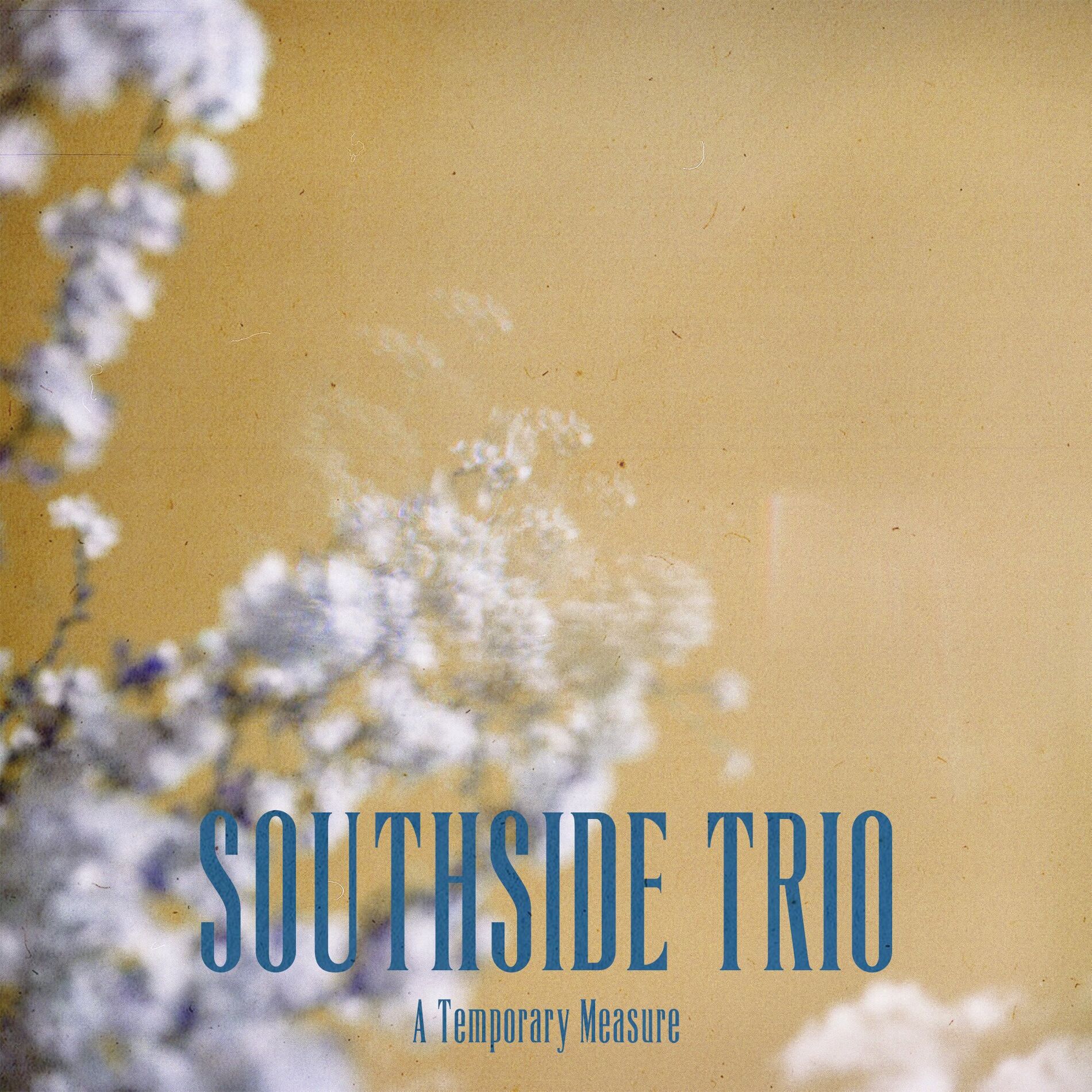 Album cover of A Temporary Measure