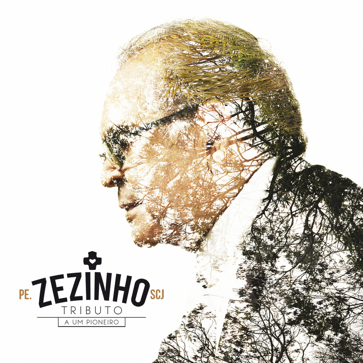Album cover of Tributo A Um Pioneiro