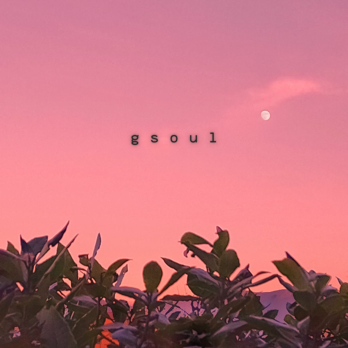 Album cover of Gsoul