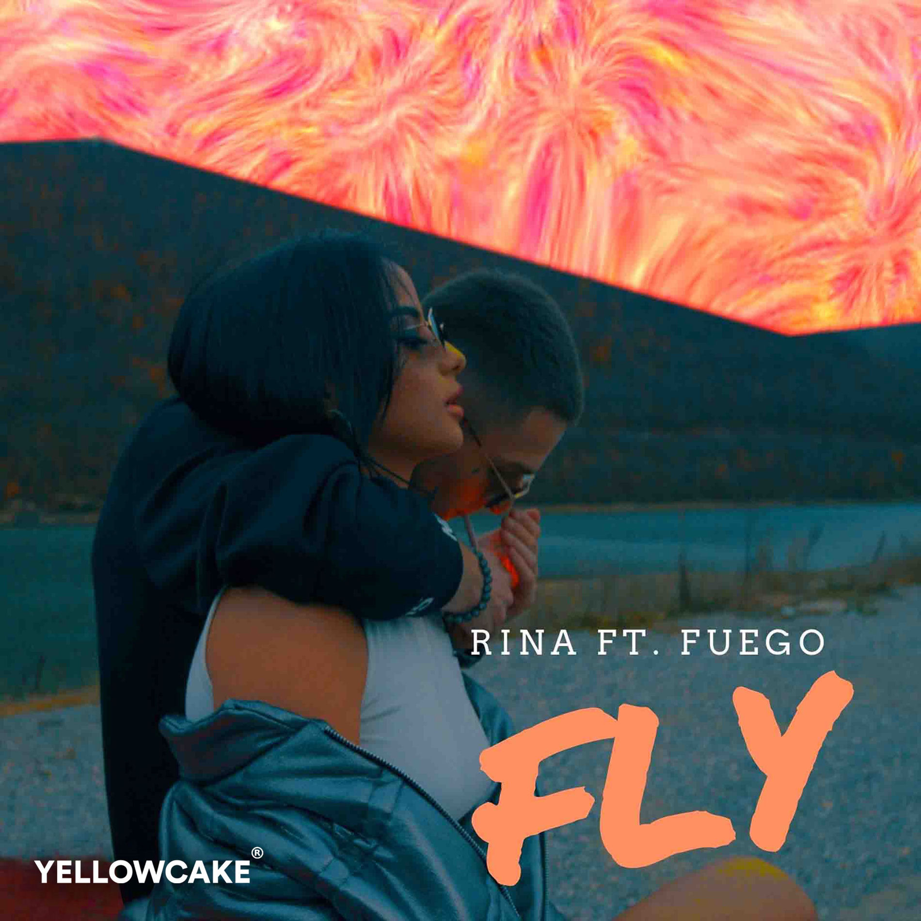 Album cover of Fly