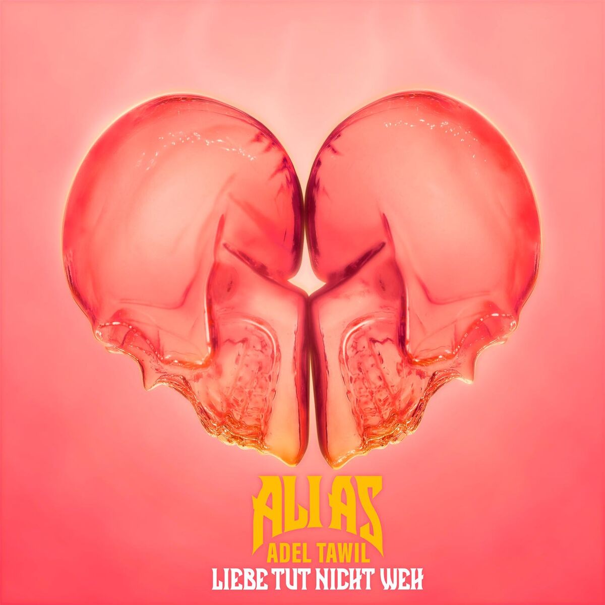 Album cover of Liebe tut nicht weh