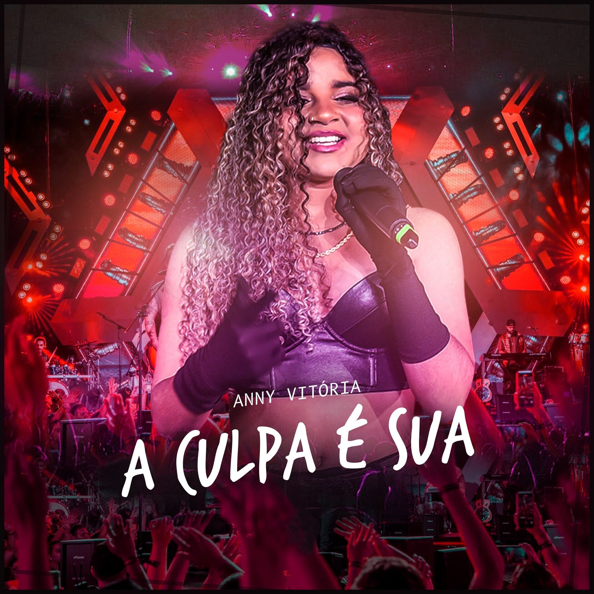 Album cover of A culpa é sua
