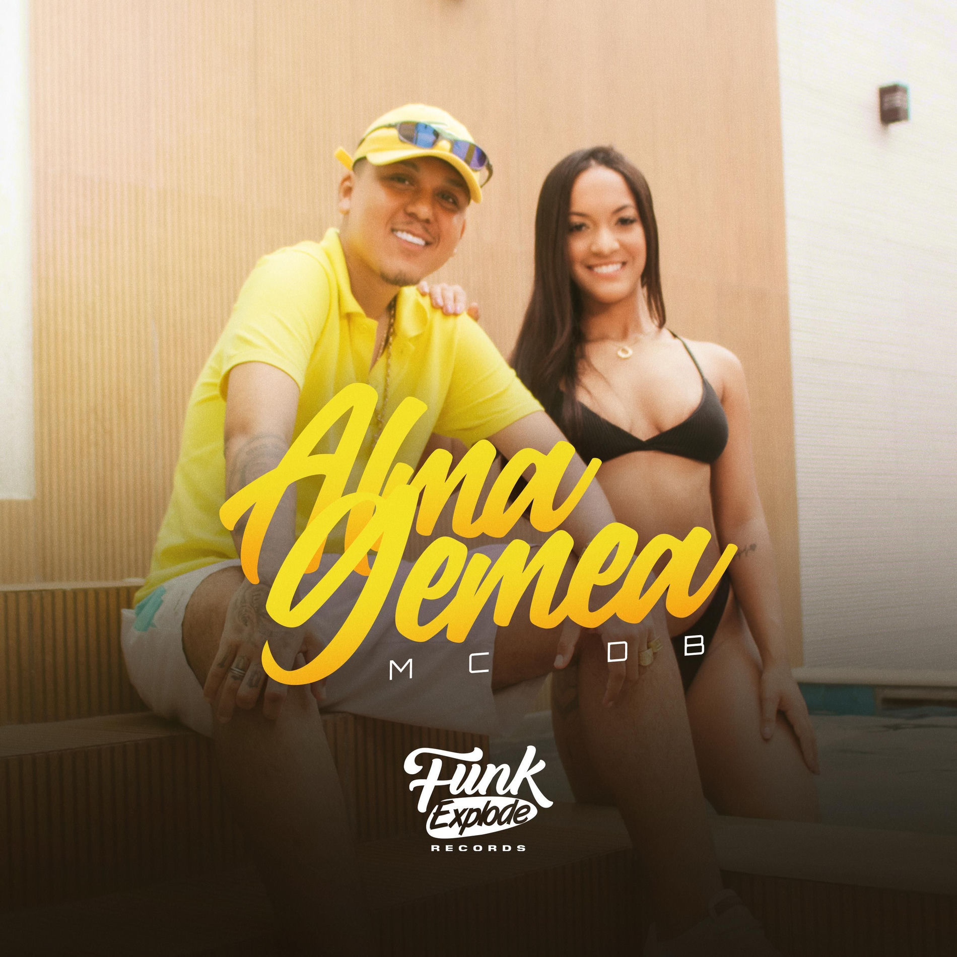 Album cover of Alma Gêmea