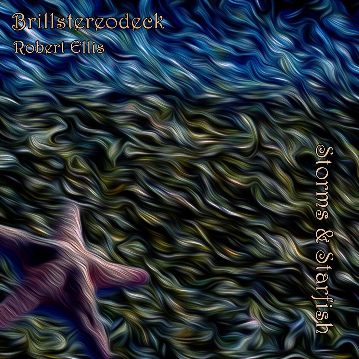 Album cover of Storms & Starfish