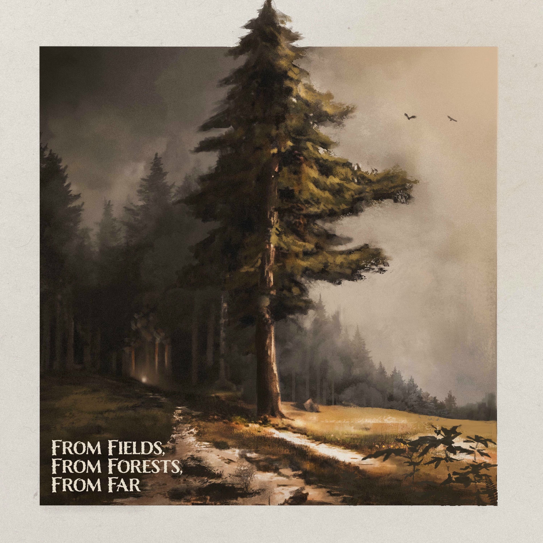 Album cover of From Fields, From Forests, From Far