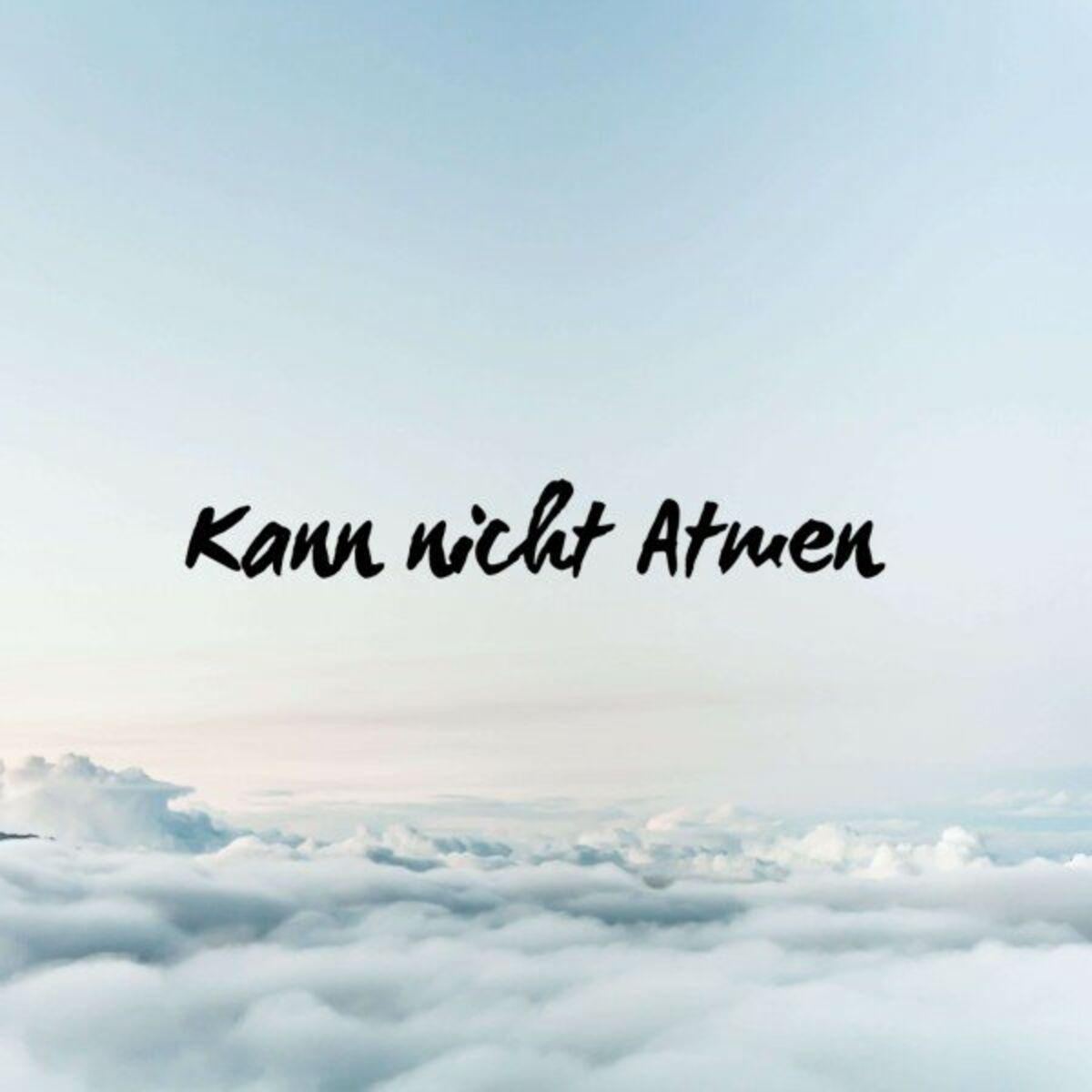 Album cover of Kann nicht atmen (Pastiche/Remix/Mashup)