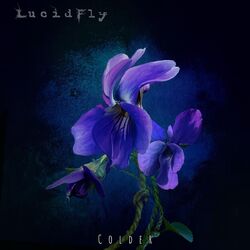 Cover of Colder