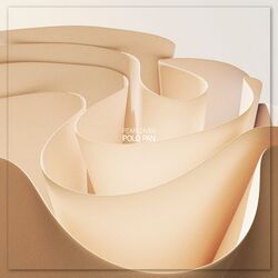 Cover of Polo Pan