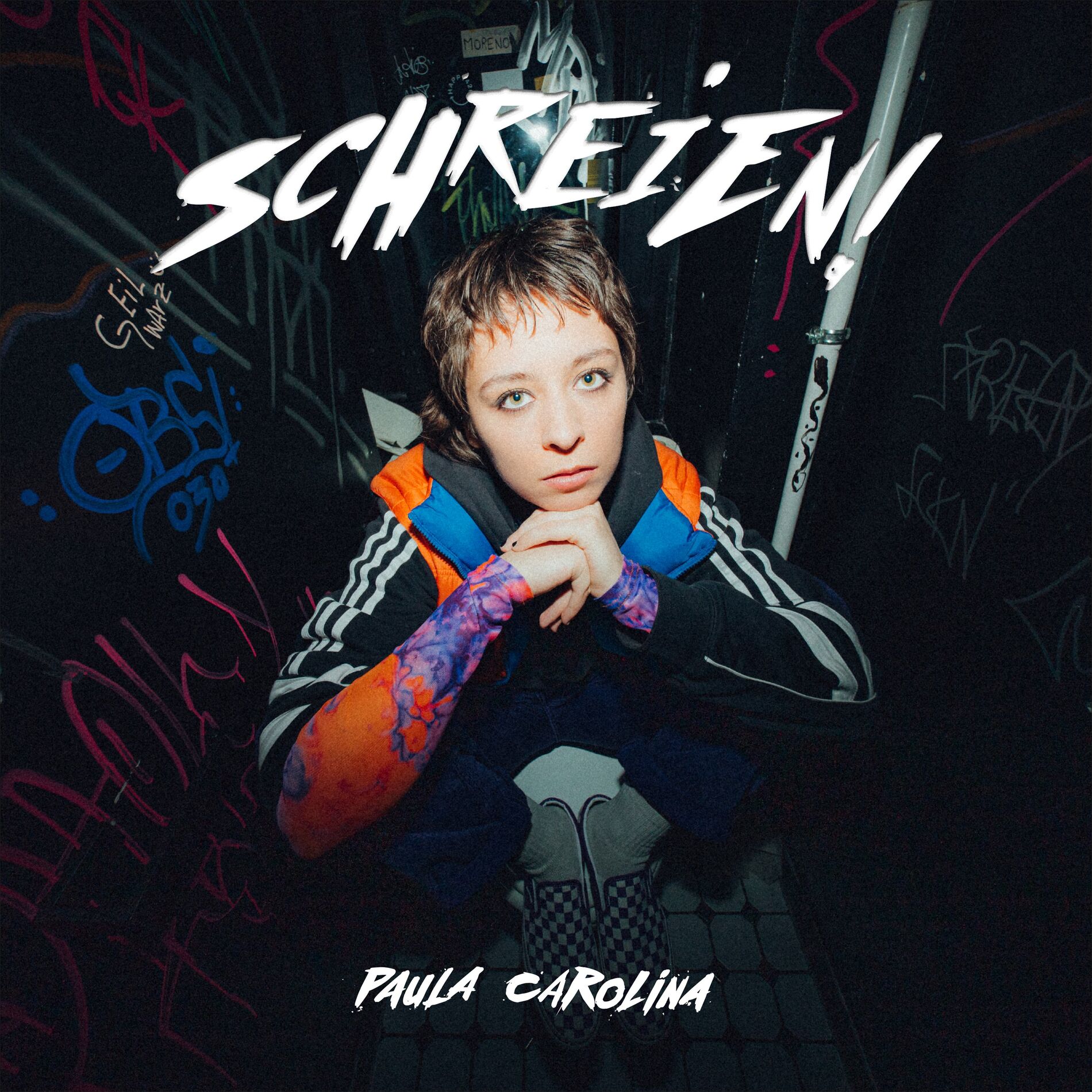 Album cover of Schreien!
