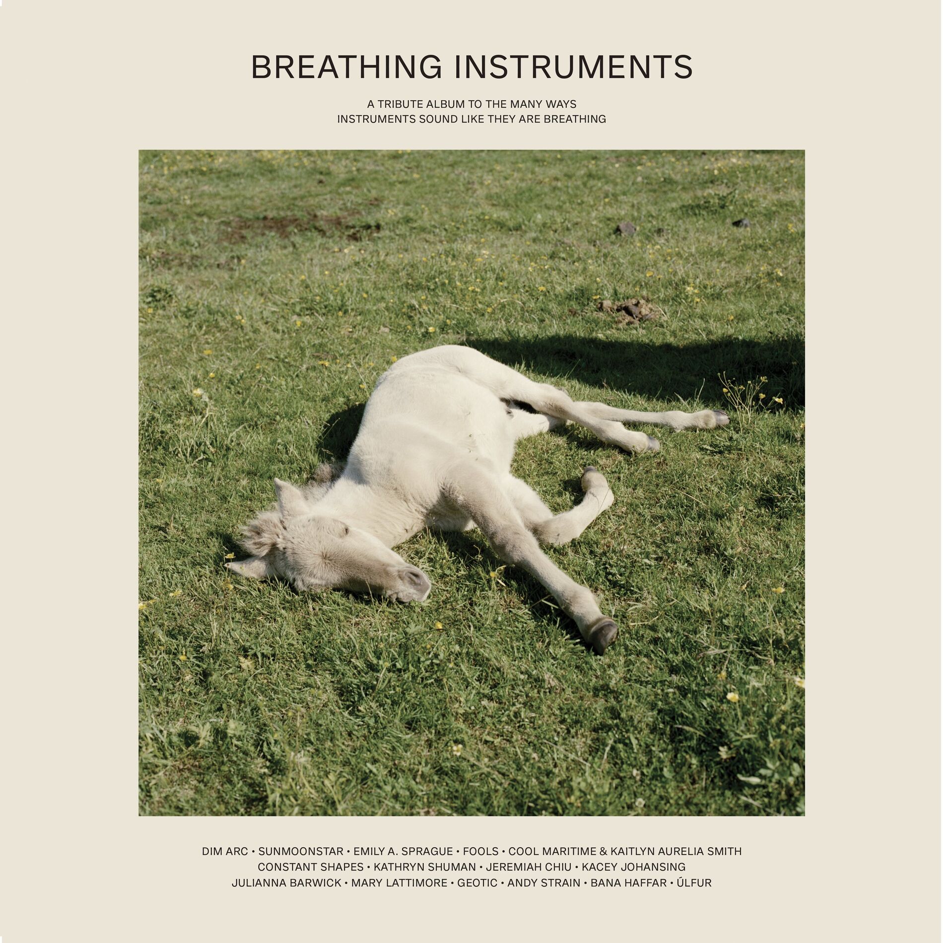 Album cover of Touchtheplants Presents: Breathing Instruments