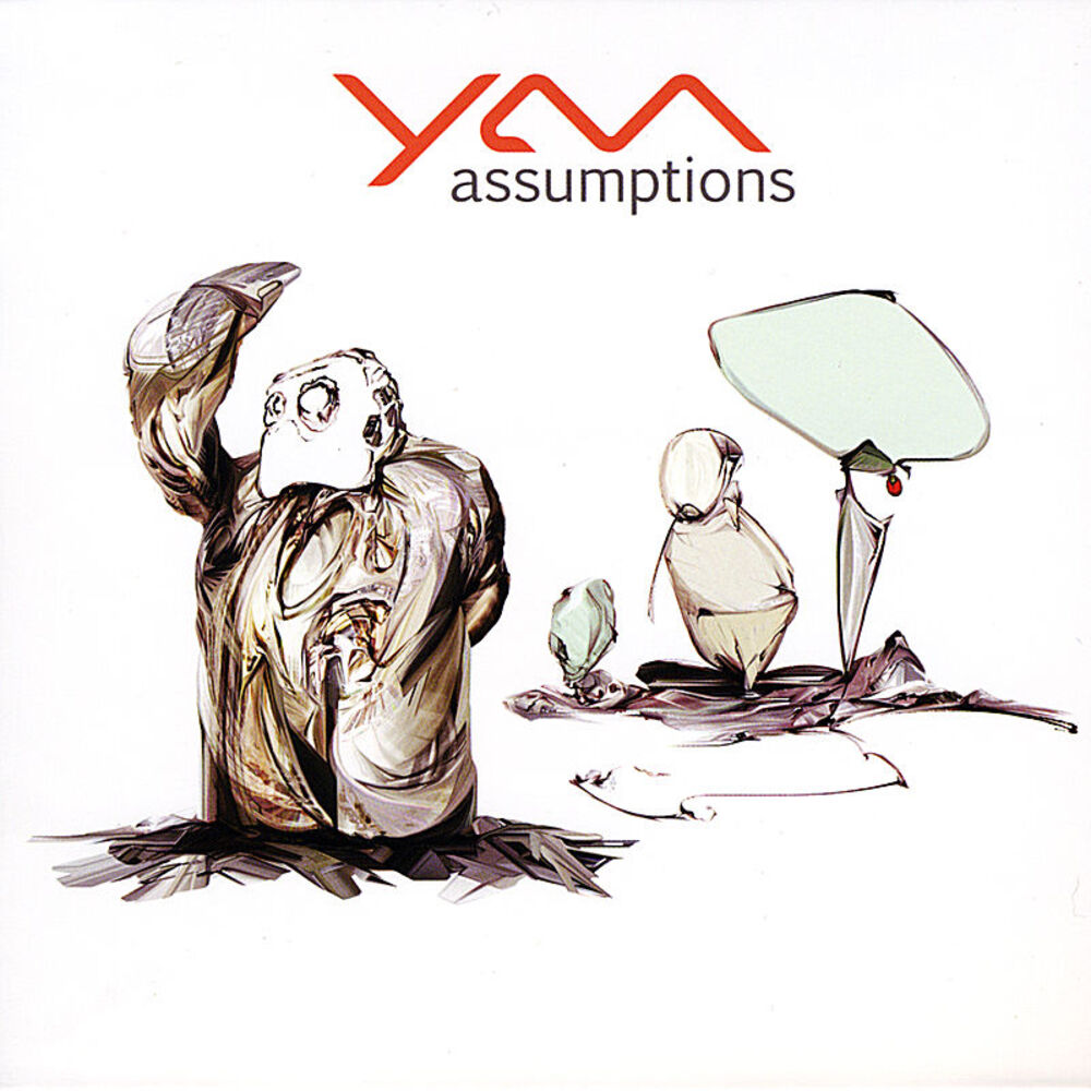Picture of Assumptions