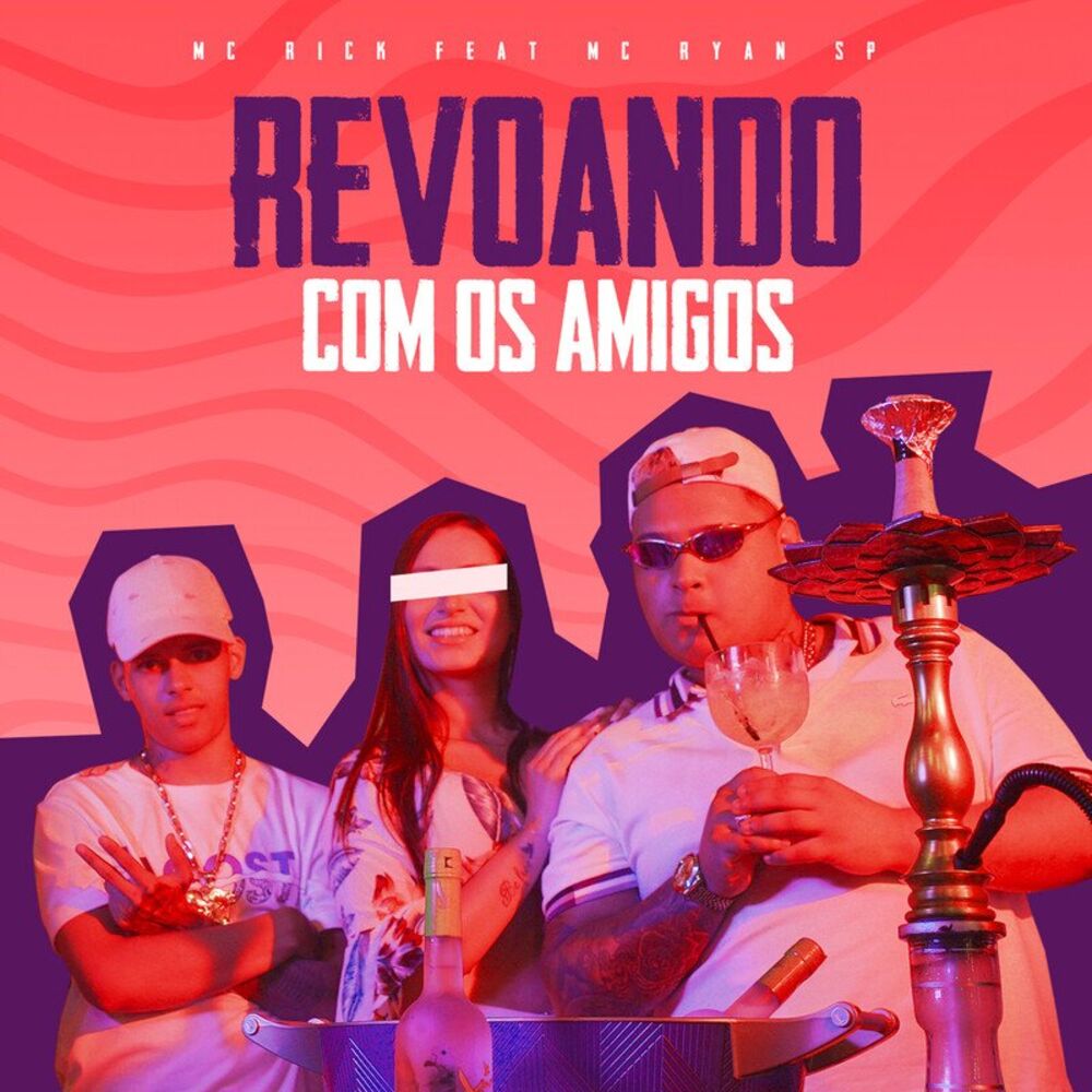 Picture of Revoando Com os Amigos