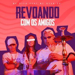 Cover of Revoando Com os Amigos