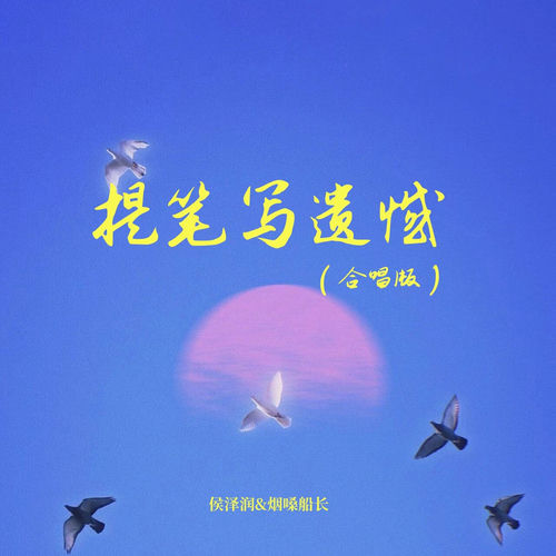 提笔写遗憾 (DJ莽夫版)