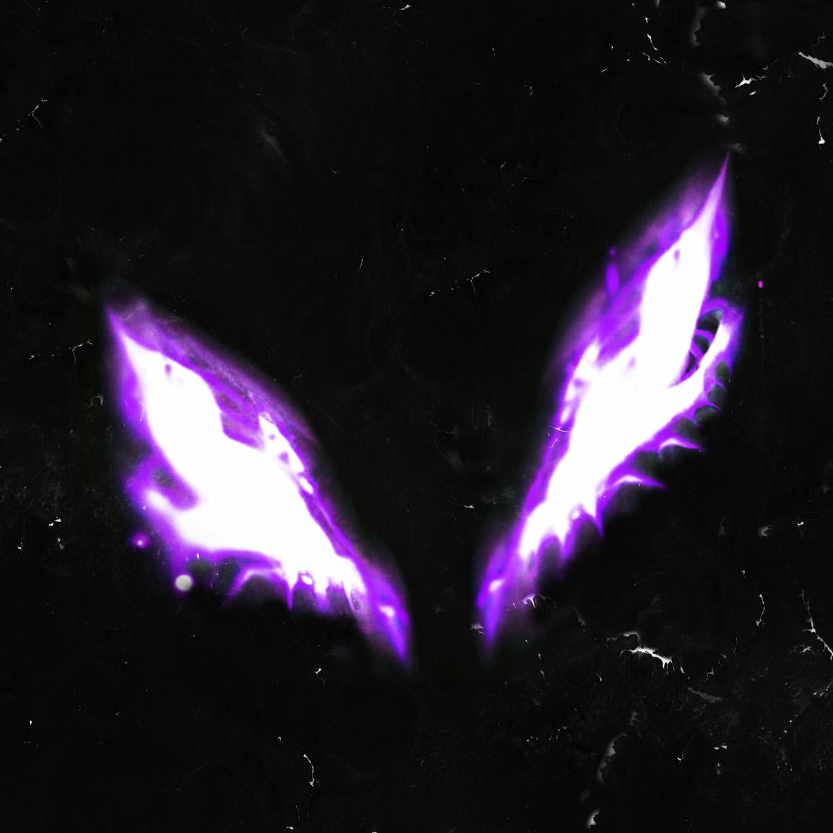 zxcursed: albumy, piosenki, koncerty | Deezer