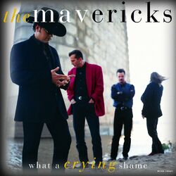 Cover of What A Crying Shame