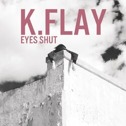 Cover of Eyes Shut