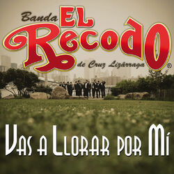Cover of Vas A Llorar Por Mí
