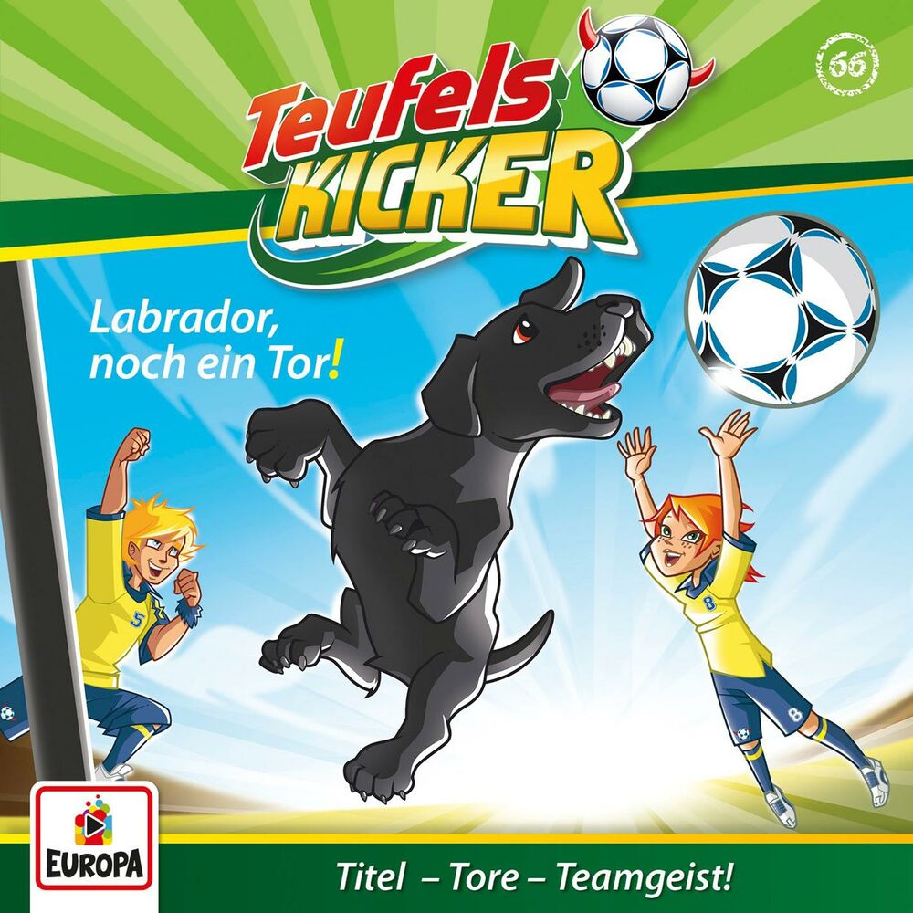 Picture of 066/Labrador, noch ein Tor!