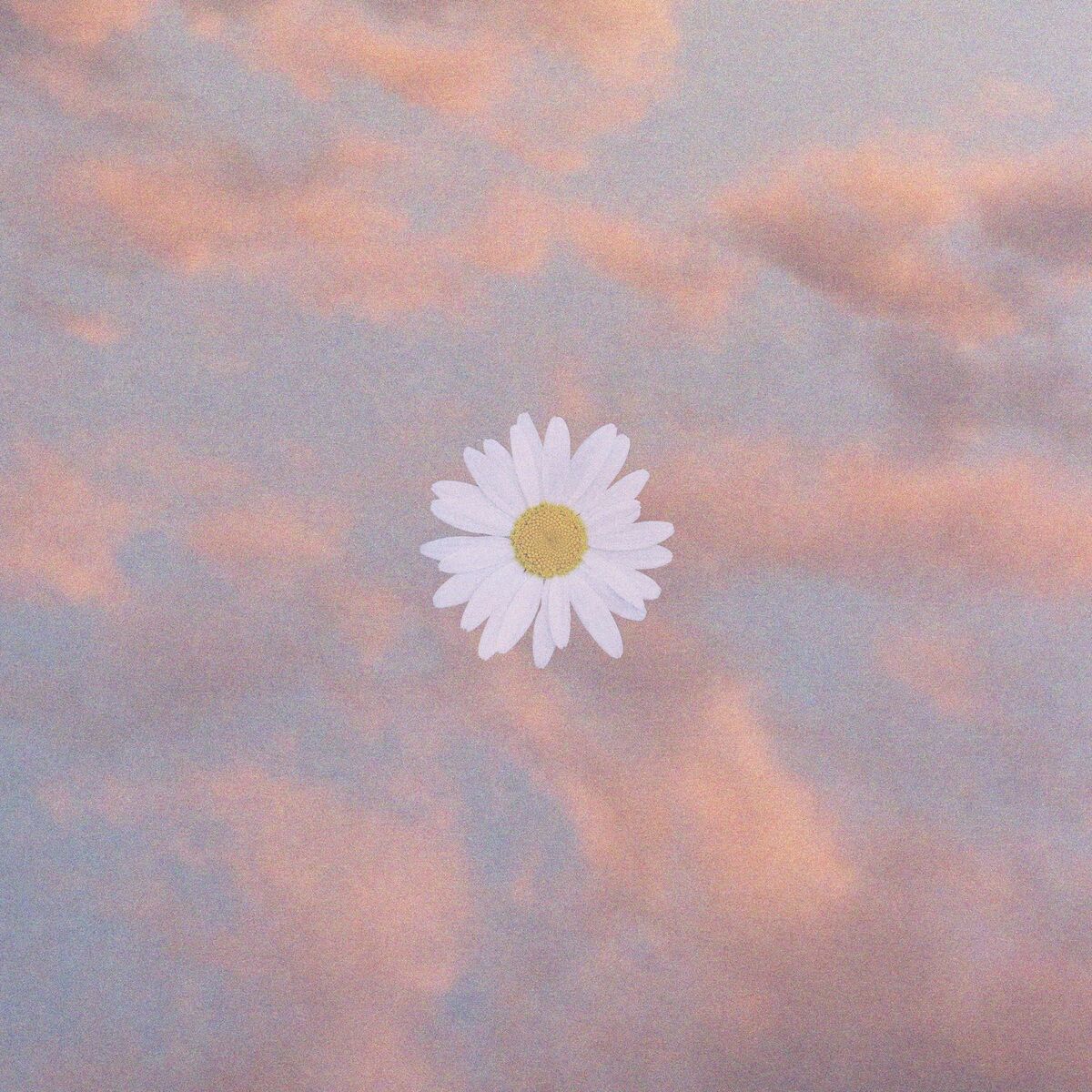 Album cover of where are you