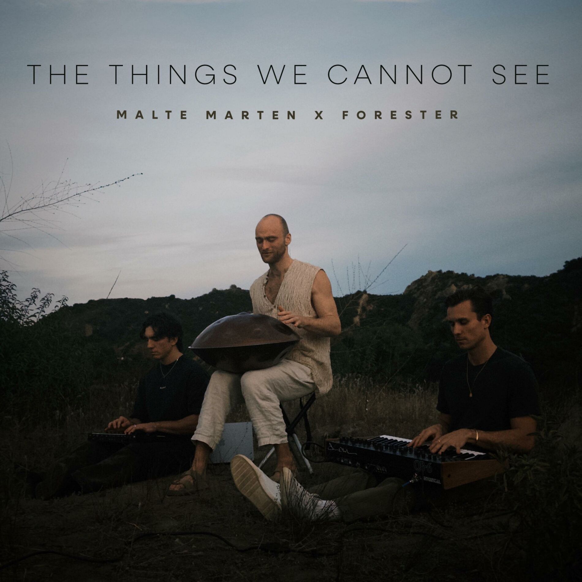 Album cover of The Things We Cannot See