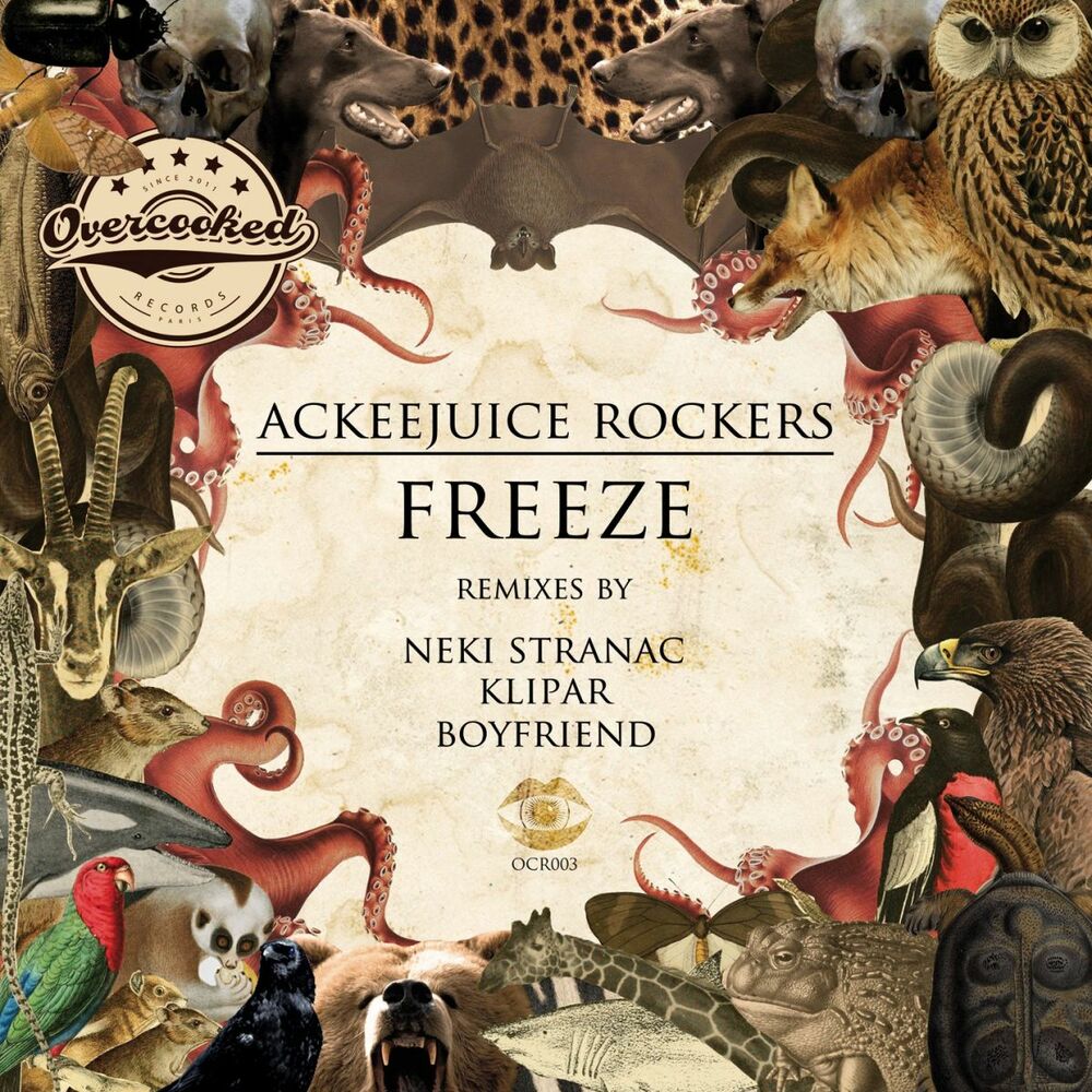 Picture of Freeze
