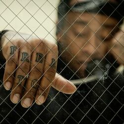 Cover of Free TC (Deluxe Edition)