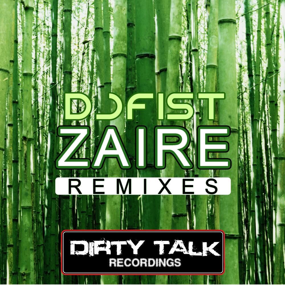Picture of Zaire (The remixes)