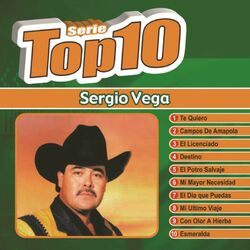 Cover of Serie Top Ten