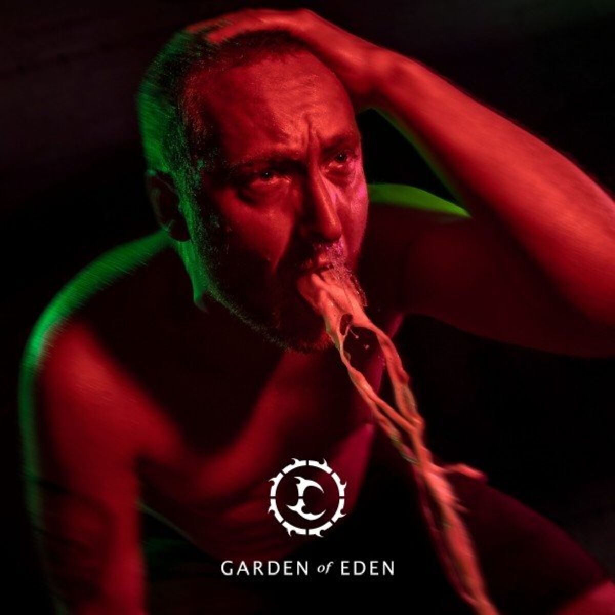 Album cover of Eden Unveiled