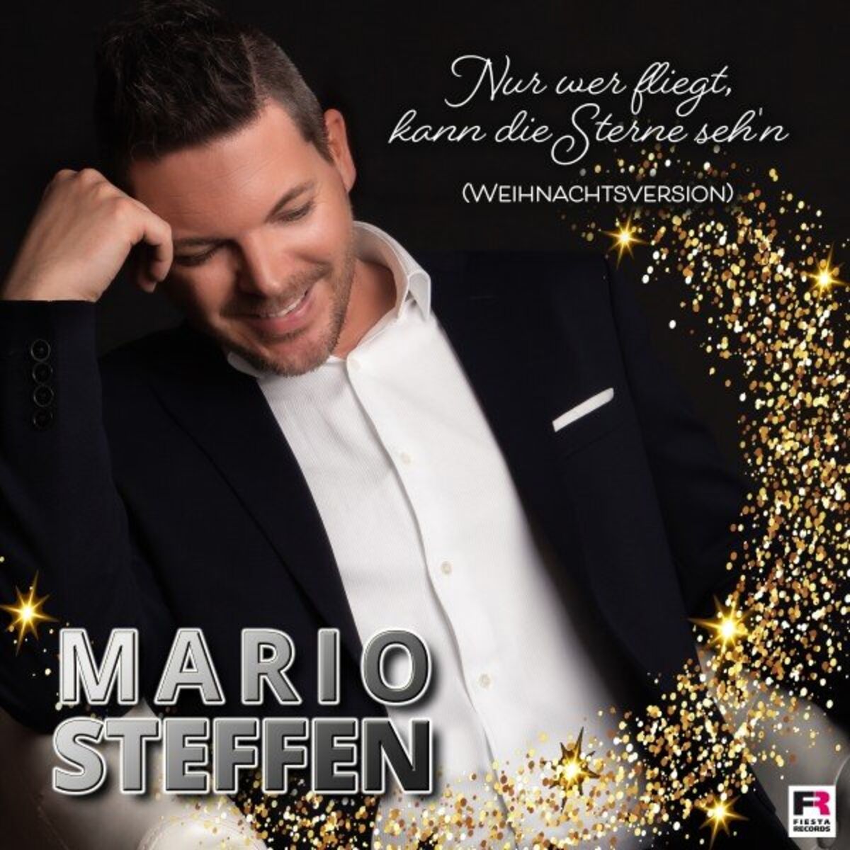Album cover of Nur wer fliegt, kann die Sterne seh'n (Weihnachtsversion)