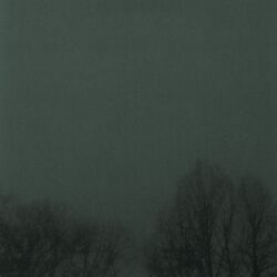 Cover of Circuit VIII