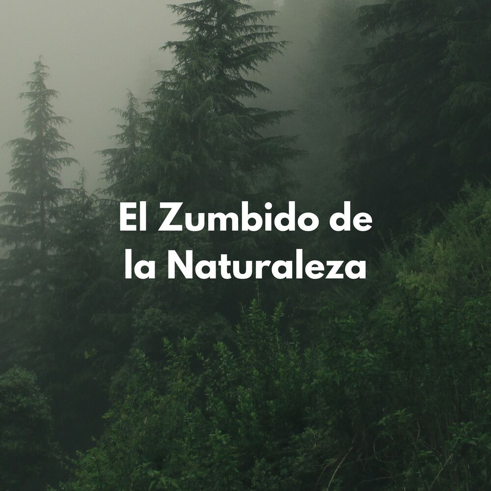 Picture of El Zumbido De La Naturaleza
