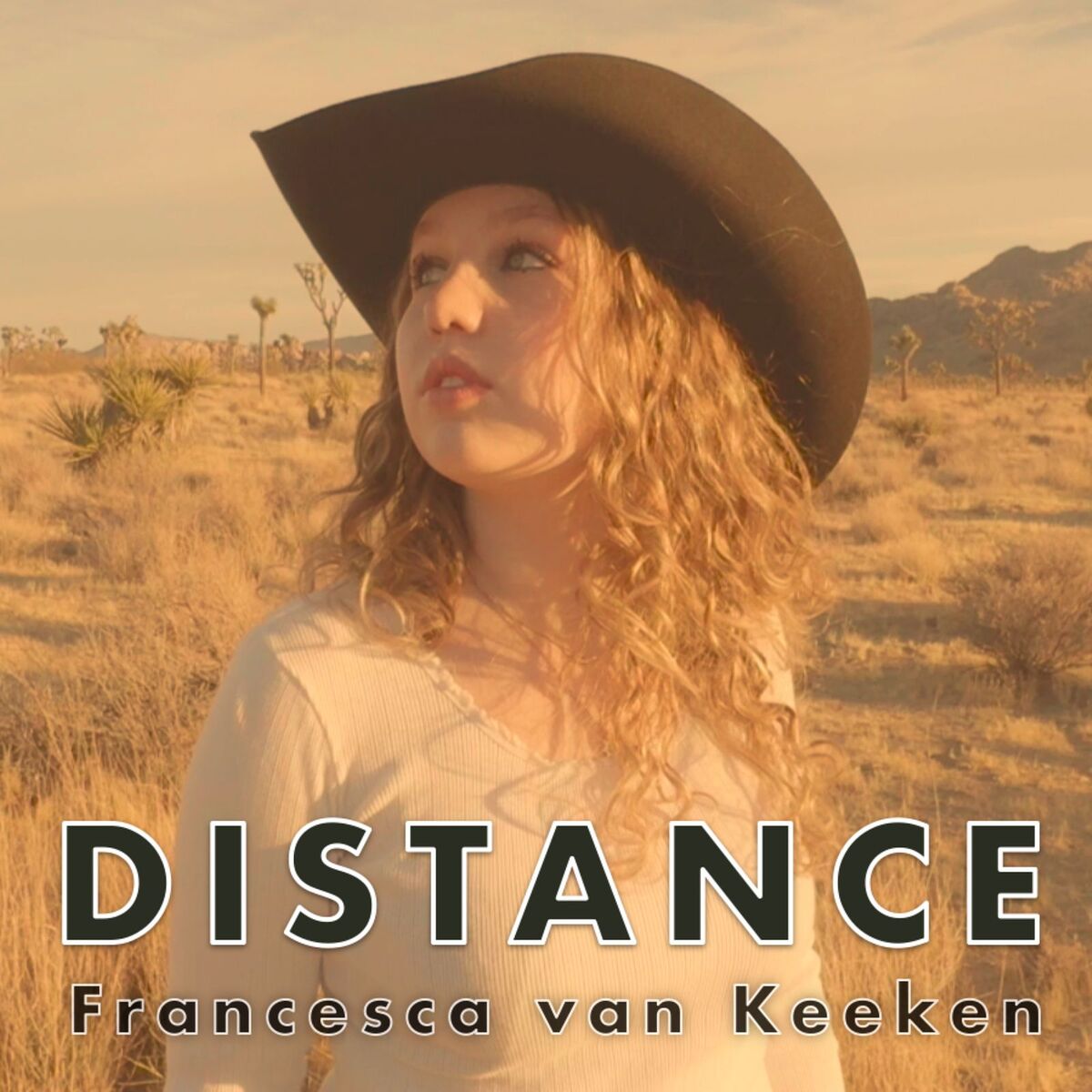 Album cover of Distance