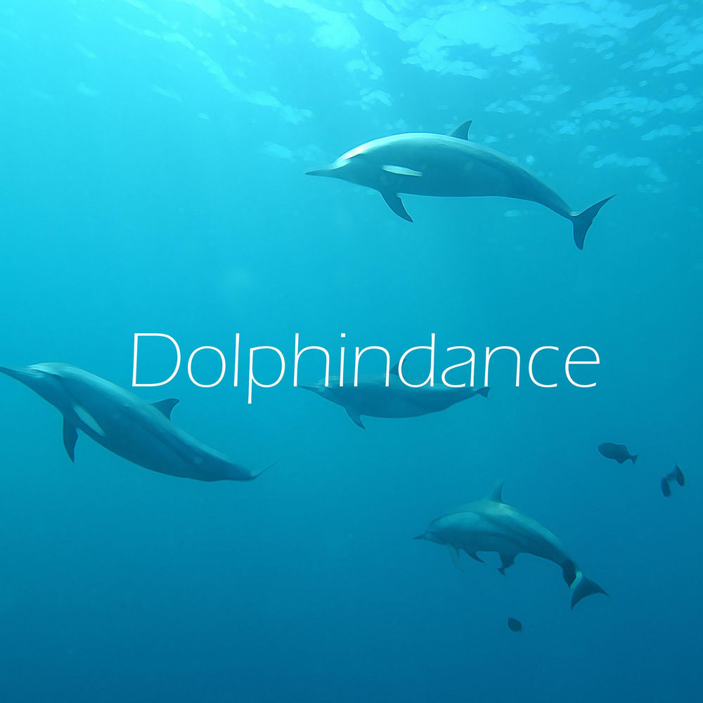Album artwork for Dolphindance by One Day