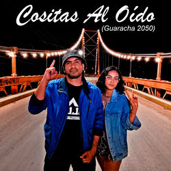 Cositas al O&iacute;do (Guaracha 2050)