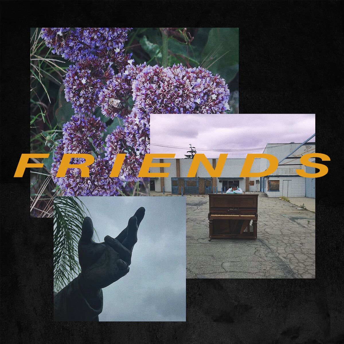 Album cover of Friends
