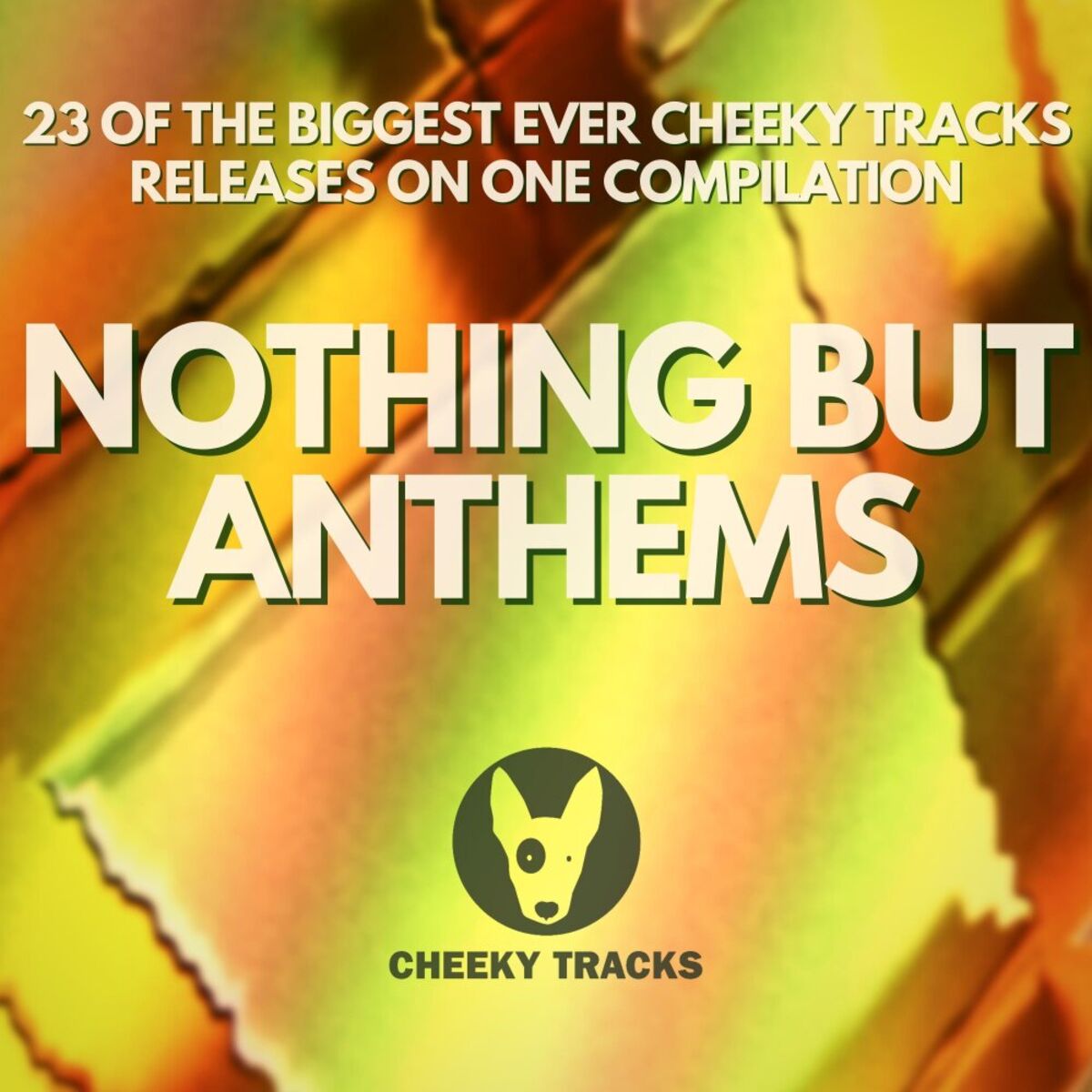 Album cover of Nothing But Anthems