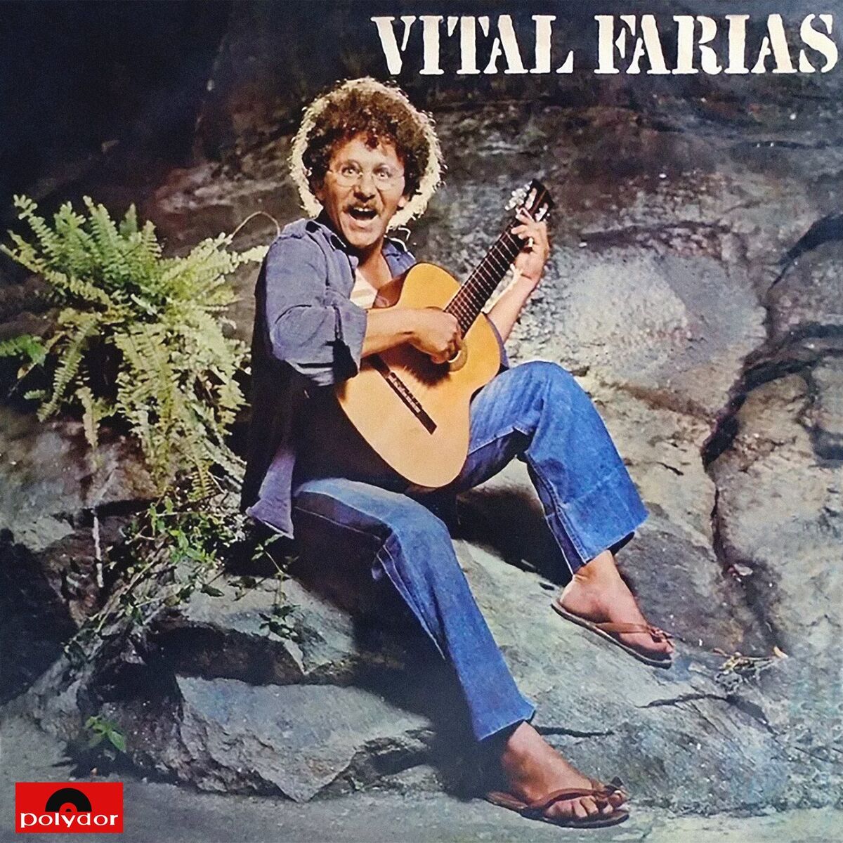 Album cover of Vital Farias