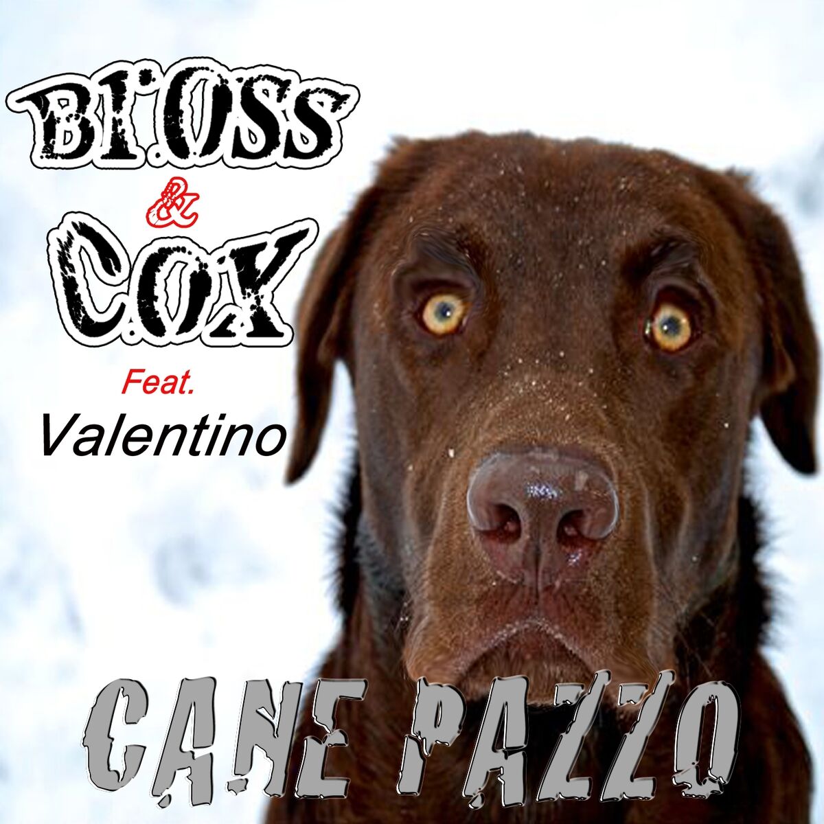 Album cover of Cane pazzo