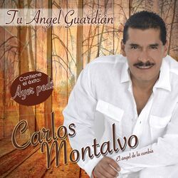 Cover of Tu Angel Guardián