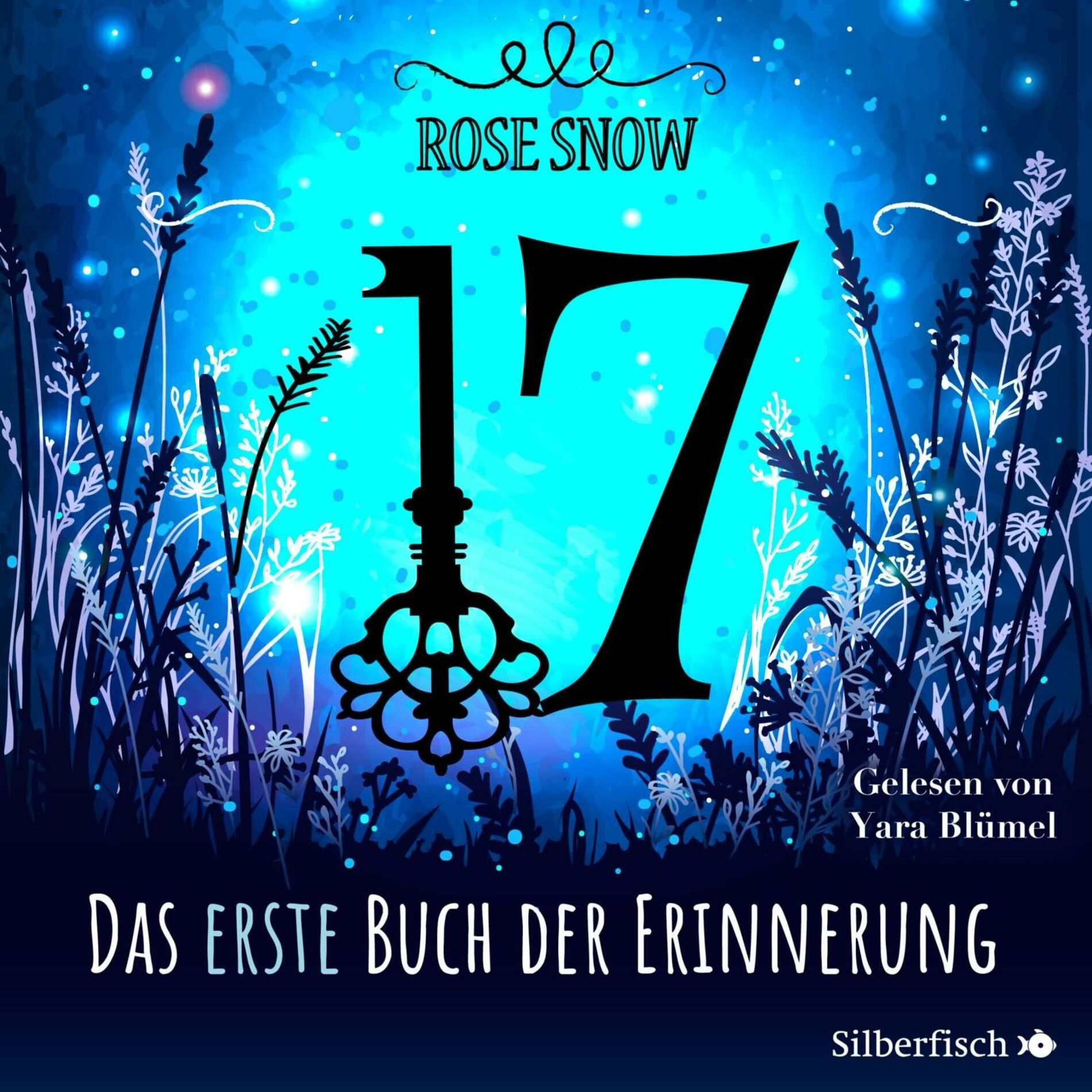 Album cover of 17 1: Das erste Buch der Erinnerung