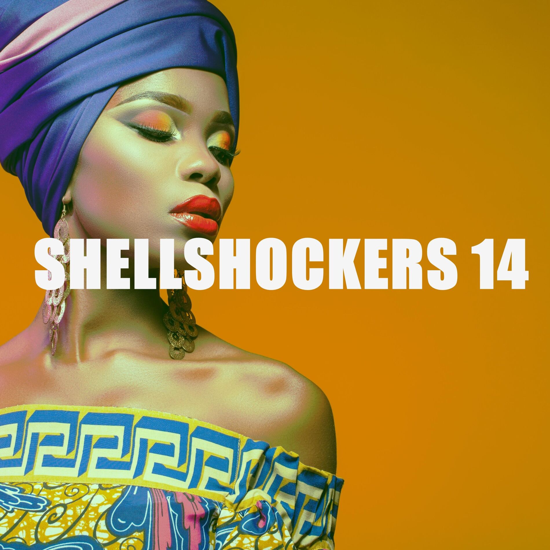 Album cover of SHELLSHOCKERS 14
