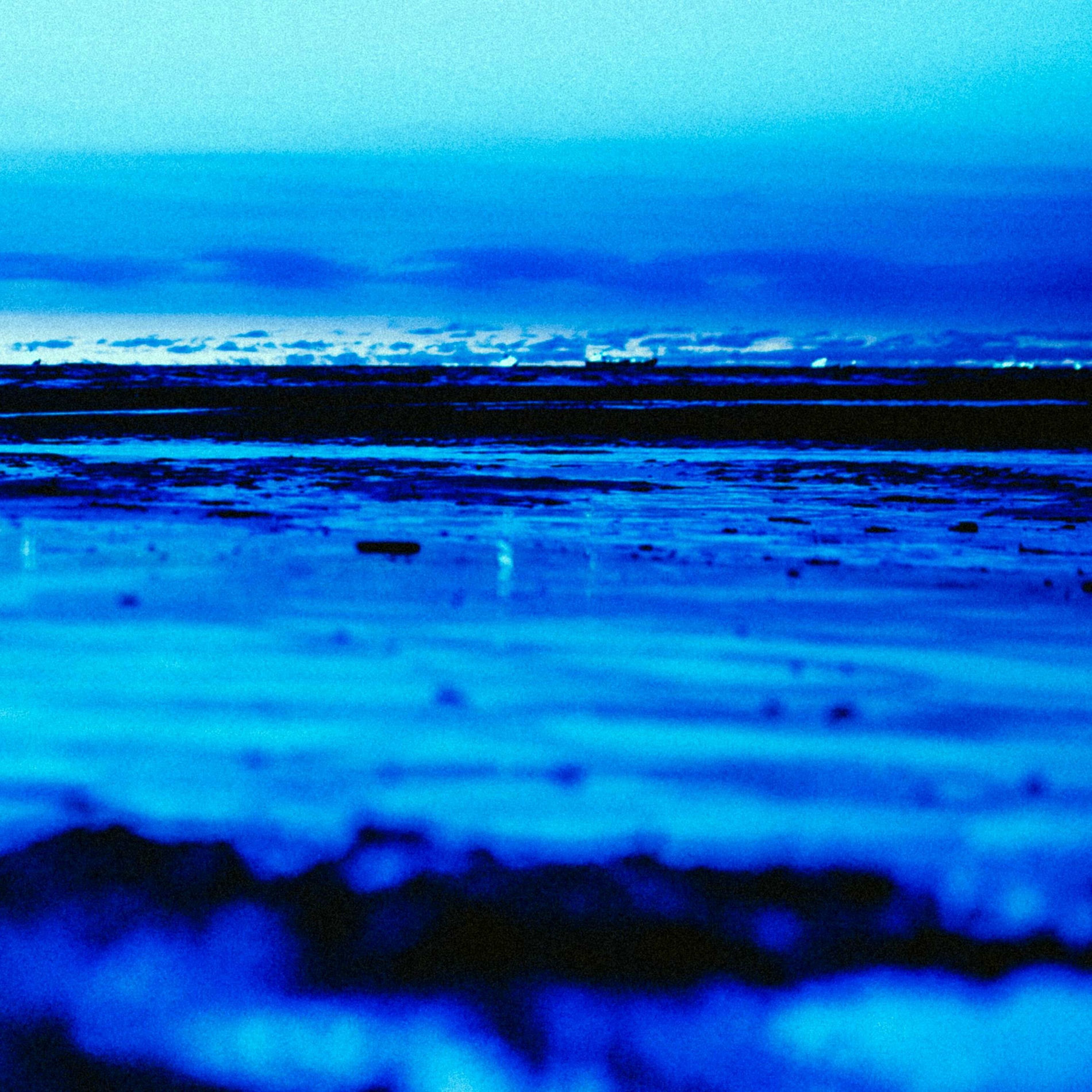 Album cover of What you see
