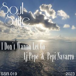 Cover of I Don't Wanna Let Go