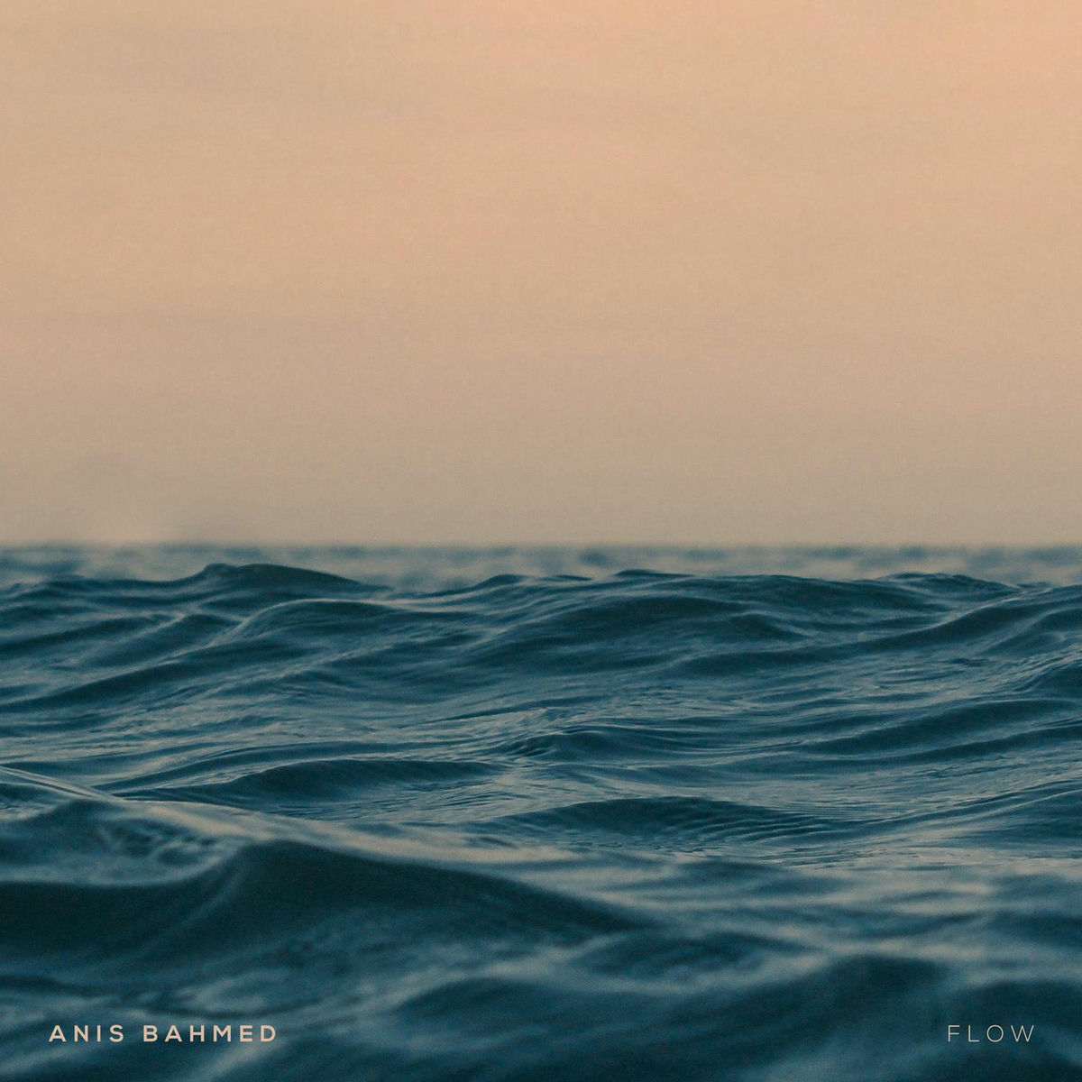 Album cover of Flow