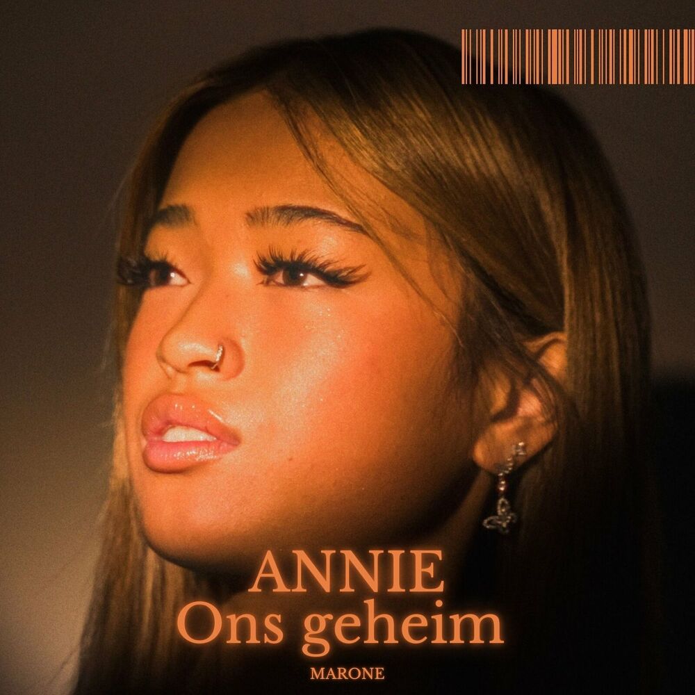 Picture of Ons Geheim