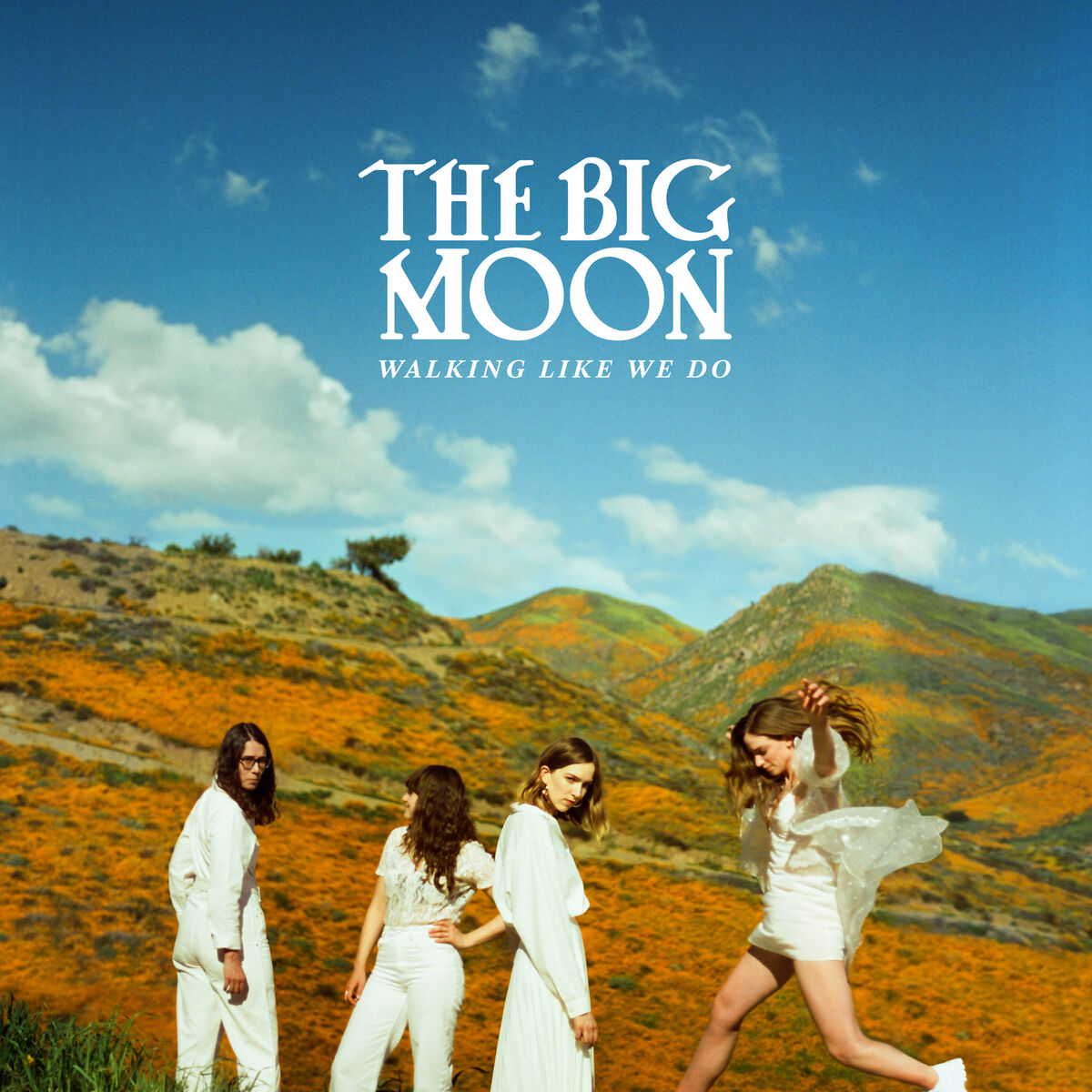 Album cover of Walking Like We Do